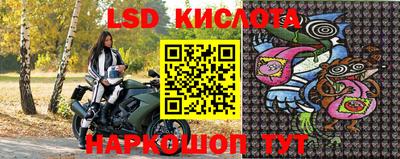 стаф Сланцы