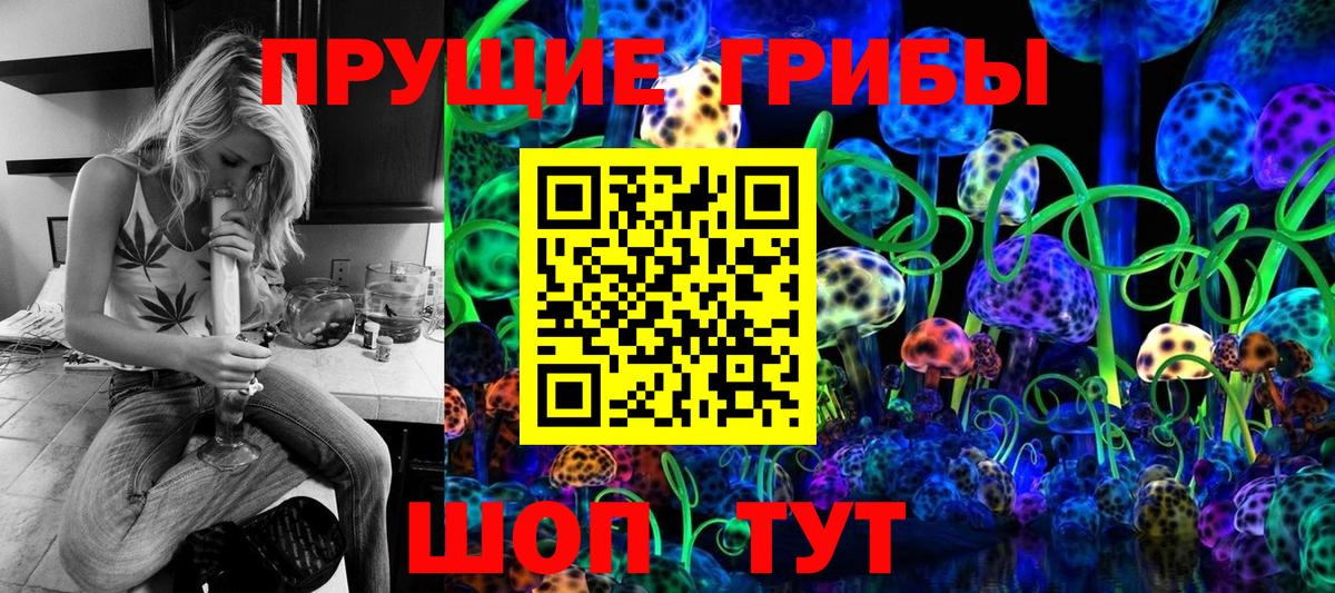 Псилоцибиновые грибы GOLDEN TEACHER  Вход с VPN  Богородицк 